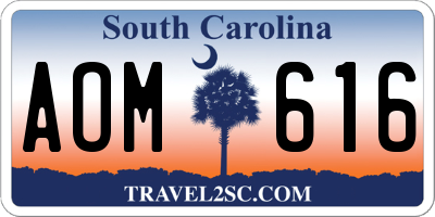 SC license plate AOM616