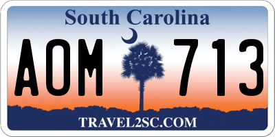 SC license plate AOM713