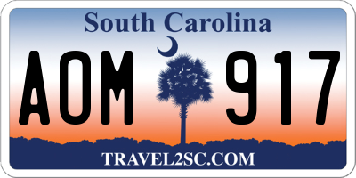 SC license plate AOM917