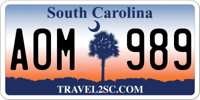 SC license plate AOM989