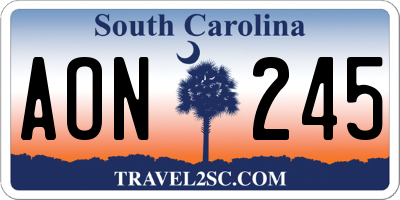 SC license plate AON245