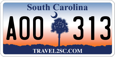 SC license plate AOO313