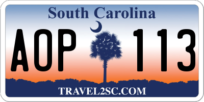SC license plate AOP113