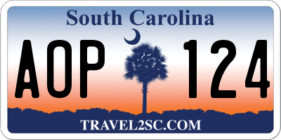 SC license plate AOP124