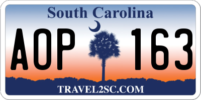 SC license plate AOP163