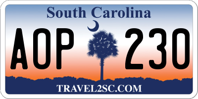SC license plate AOP230