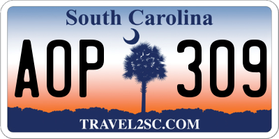 SC license plate AOP309