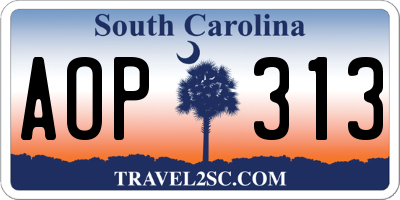 SC license plate AOP313