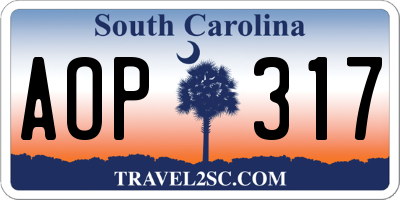 SC license plate AOP317