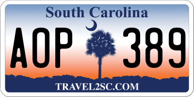 SC license plate AOP389
