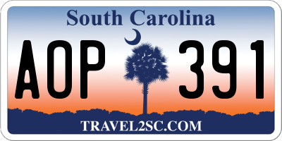 SC license plate AOP391