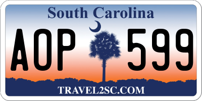 SC license plate AOP599