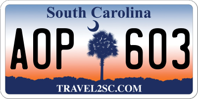 SC license plate AOP603
