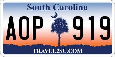 SC license plate AOP919