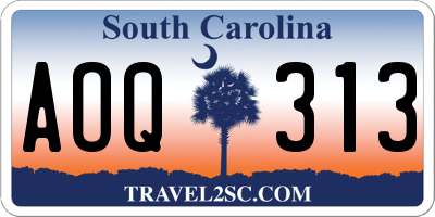 SC license plate AOQ313