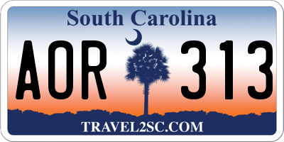 SC license plate AOR313