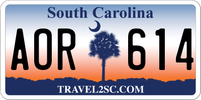 SC license plate AOR614