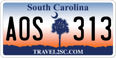SC license plate AOS313