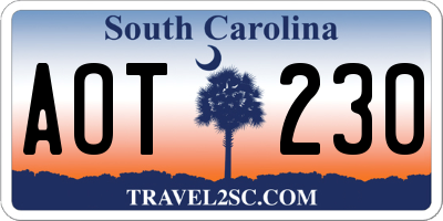 SC license plate AOT230