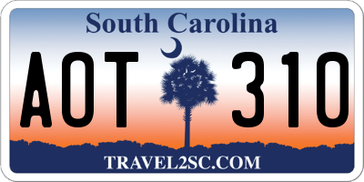 SC license plate AOT310