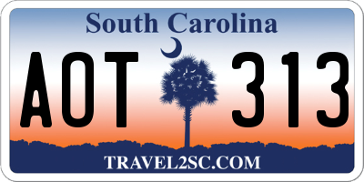SC license plate AOT313