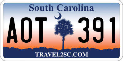 SC license plate AOT391