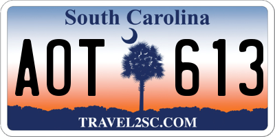 SC license plate AOT613