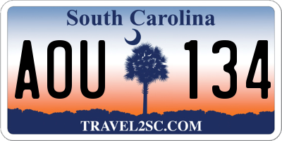 SC license plate AOU134