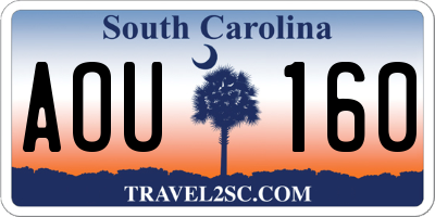 SC license plate AOU160