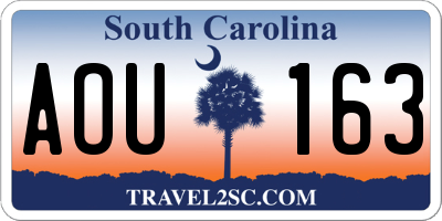 SC license plate AOU163