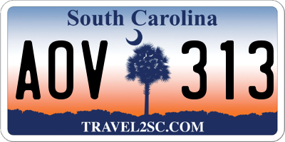 SC license plate AOV313