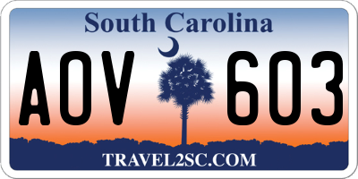 SC license plate AOV603