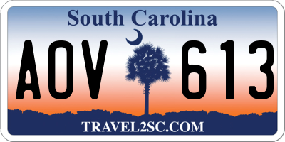 SC license plate AOV613