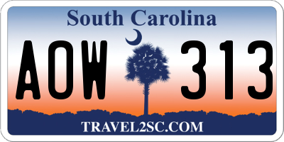 SC license plate AOW313