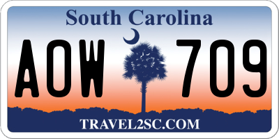 SC license plate AOW709
