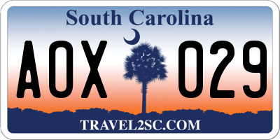 SC license plate AOX029