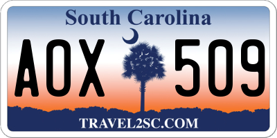 SC license plate AOX509