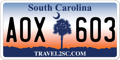 SC license plate AOX603