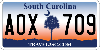 SC license plate AOX709