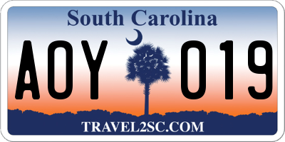 SC license plate AOY019