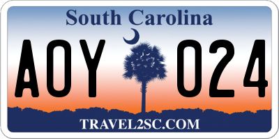 SC license plate AOY024