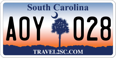 SC license plate AOY028