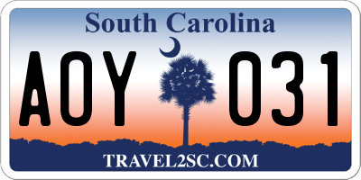SC license plate AOY031
