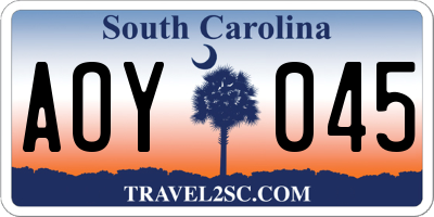 SC license plate AOY045
