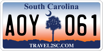SC license plate AOY061
