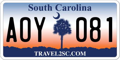 SC license plate AOY081