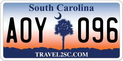 SC license plate AOY096
