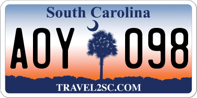 SC license plate AOY098