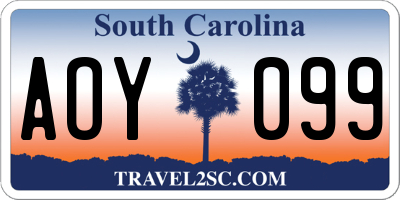 SC license plate AOY099