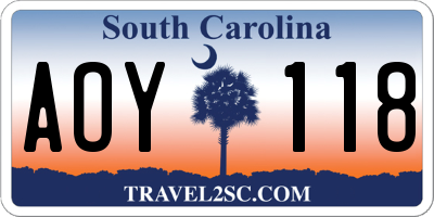SC license plate AOY118